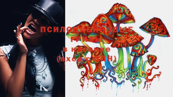 гидропоника Алексин