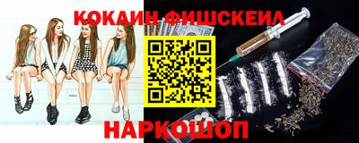 молекула духа Кингисепп