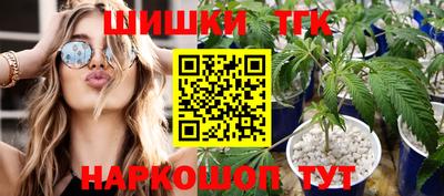 молекула духа Кингисепп