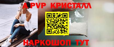 молекула духа Кингисепп