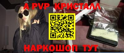 молекула духа Кингисепп