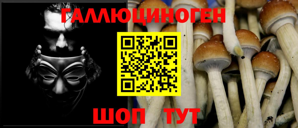 Псилоцибиновые грибы ЛСД Коркино