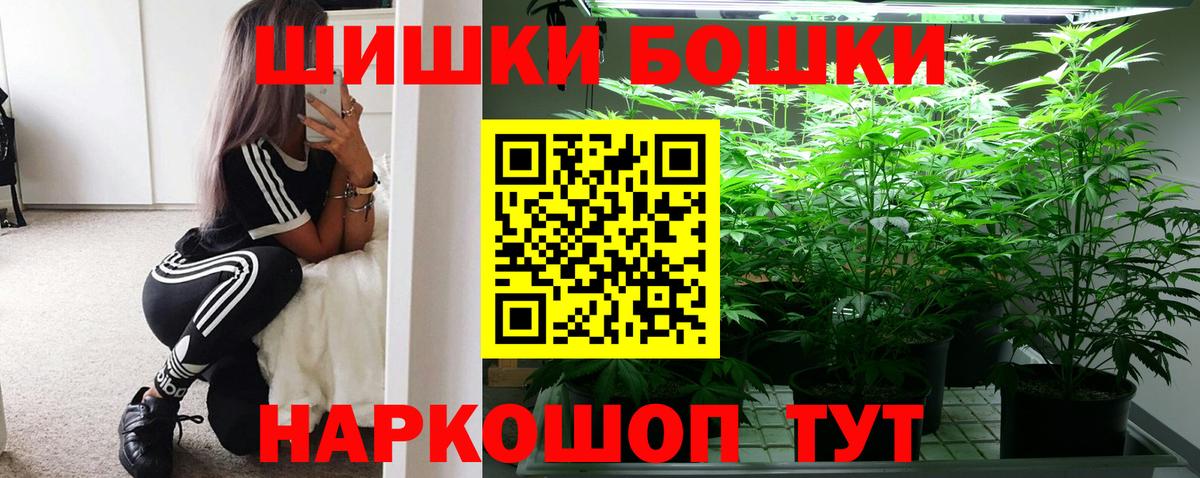 Бошки Шишки конопля Коркино